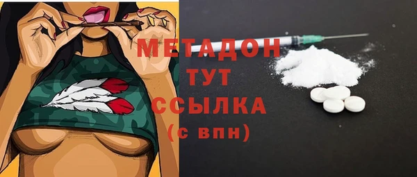 индика Алексин