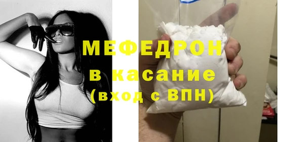 индика Алексин