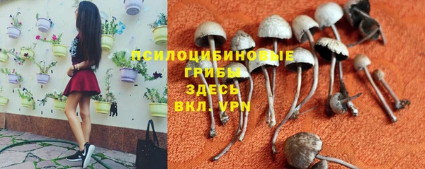 дурь Алексеевка