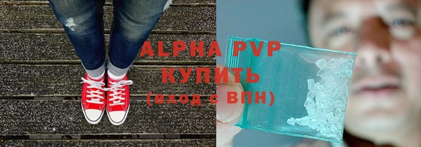 индика Алексин
