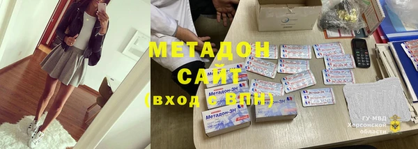 индика Алексин